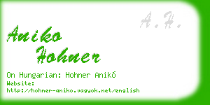aniko hohner business card